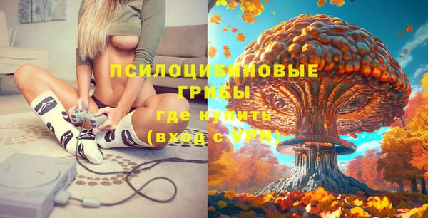 apvp Липки