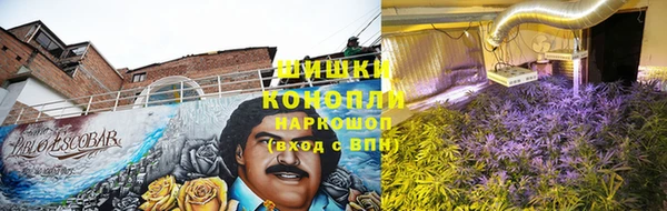 прущие грибы Сафоново