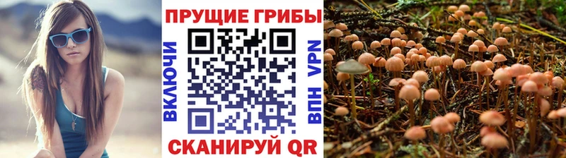 Псилоцибиновые грибы GOLDEN TEACHER  Новоржев 